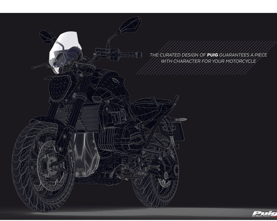 BMW R 1250 R [2018] – New Generation Sport – Transparent