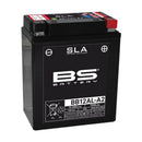 Yamaha XT 600 [BS Battery] - motorcycle battery-1