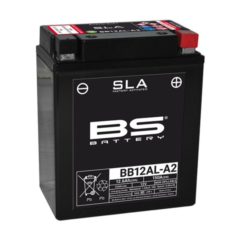 BMW F 650 GS [BS Battery] - motorcycle battery