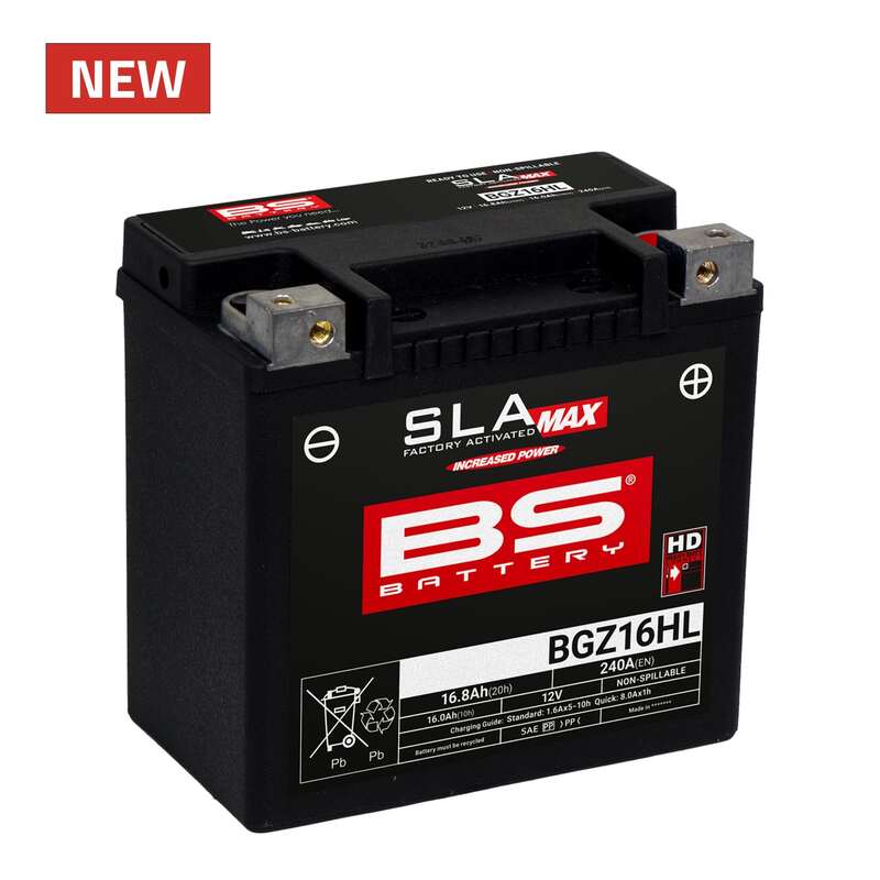 Harley Davidson Flhri [BS BATTERY] - SLA Maintenance Free Battery Factory Activated - BGZ16HL