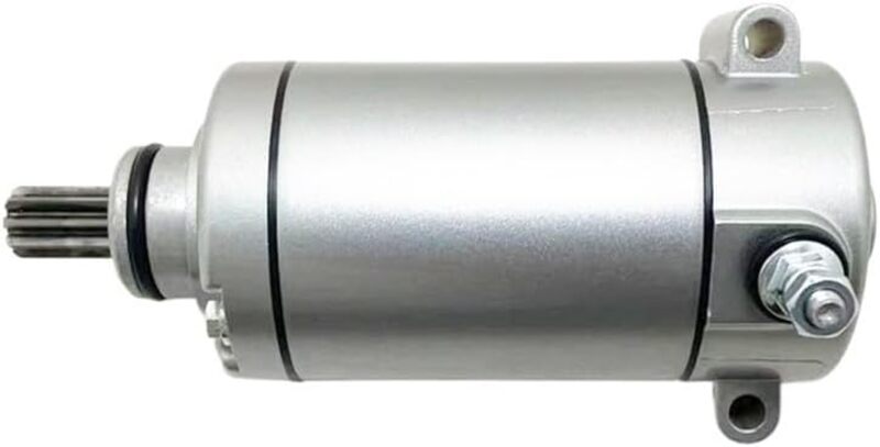 Benelli Leoncino 500 Trail [TECNIUM] - Starter