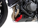 Triumph Trident 660 [2021-2024] - Bugpoiler-1