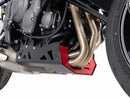Triumph Trident 660 [2021-2024] - Bugpoiler-2