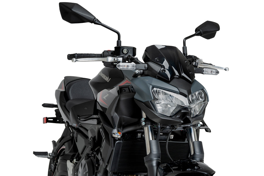 KAWASAKI Z 650 [2025] – D12 Spoiler – Carbon look