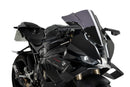 BMW S 1000 RR [2025] – Z-Racing Screen – Tinted-6