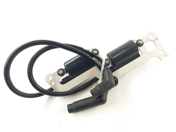 Aprilia RSV 1000 Tuono RP [2005] - Ignition coil set 2 pieces - 0