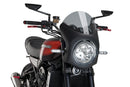 KAWASAKI Z 900 RS SE [2025] – Retro fairing screen – Transparent-22