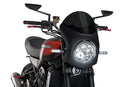 KAWASAKI Z 900 RS SE [2025] – Retro fairing screen – Transparent-16