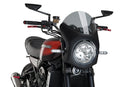 KAWASAKI Z 900 RS SE [2025] – Retro fairing screen – Transparent-8