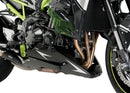 KAWASAKI Z 900 SE [2024] – Spare parts - Engine guard – Black-4