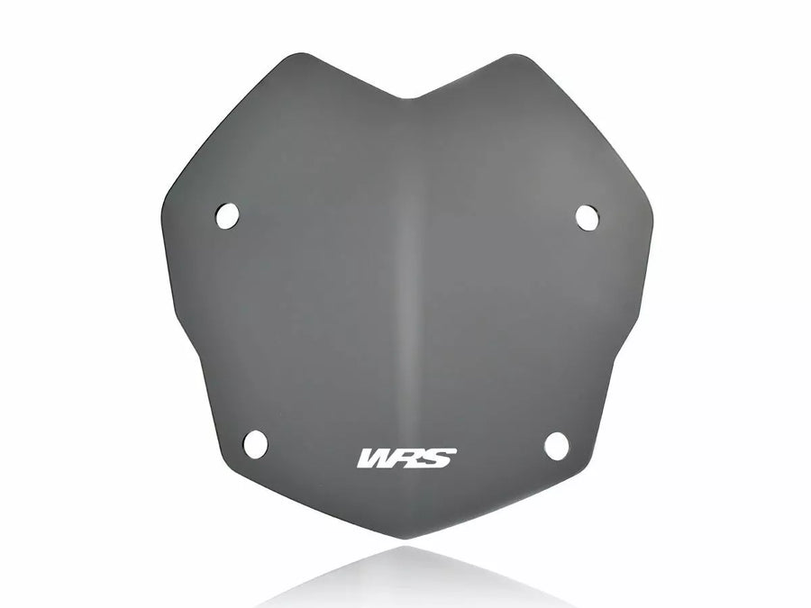 BMW R 1200 R [WRS] - windshield