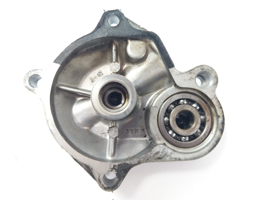 Yamaha XTZ 660 Tenere 3YF [1991] - Oil pump cover