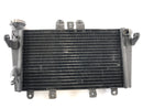 Triumph Speed ​​Triple 1050 515NJ [2006] - Radiator Water Cooler-4