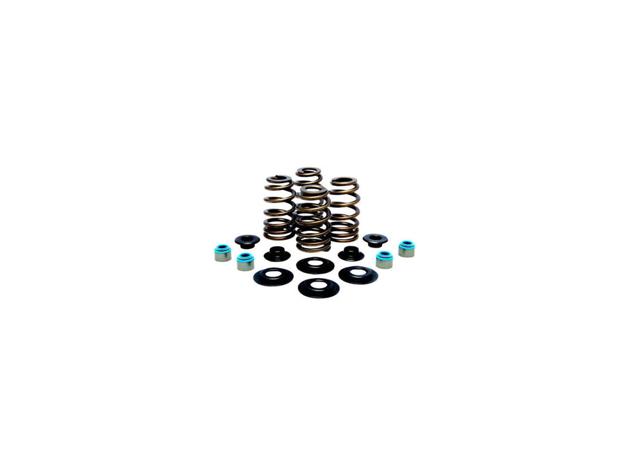 Harley Davidson FX Model [1985-1994]-high-performance bee basket valve spring kit