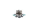 Harley Davidson Sportster [2004-2020]-high-performance bee basket valve spring set-1