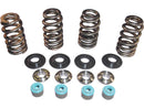 Harley Davidson Dyna [2005-2017]-05 TC valve spring STL CLR conical valve spring kits-1