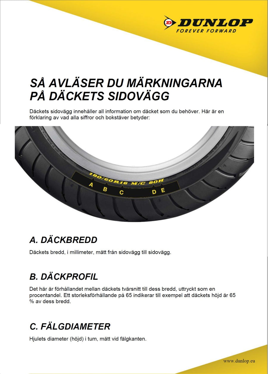 DUCATI 1100 MONSTER EVO [2011-2013] - Dual Sinter brake pads