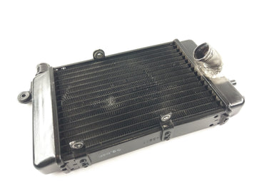 Aprilia RSV 1000 Tuono RP [2005] - Water Cooler Radiator - 0