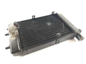 Aprilia RSV 1000 Tuono RP [2005] - Water Cooler Radiator