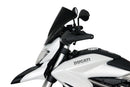 Ducati Hyperstrada 821/939 [2013-]-Racing disc "R"-10