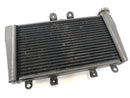 Triumph Speed ​​Triple 1050 515NJ [2006] - Radiator Water Cooler-1