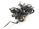 Aprilia RSV 1000 Tuono RP [2005] - Wiring harness-1