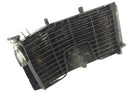 Honda CBR 900 RR SC28 [1993] - Radiator Water Cooler-3