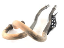 Honda NX 650 Dominator RD02 [1992] - Manifold Set Pair-5