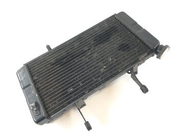 Suzuki DL 1000 V-Strom [2006] - Radiator Water Cooler - 0