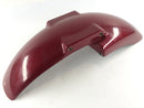 Honda CBR 900 RR SC28 [1995] - Front fender-1