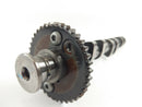 Triumph Thunderbird 900 T309RT [2000] - Camshaft 4146 / 12-2