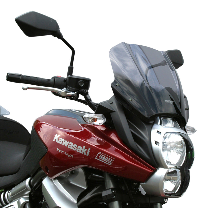 Kawasaki Versys 650 [2010-2014]-touring disc "TM"