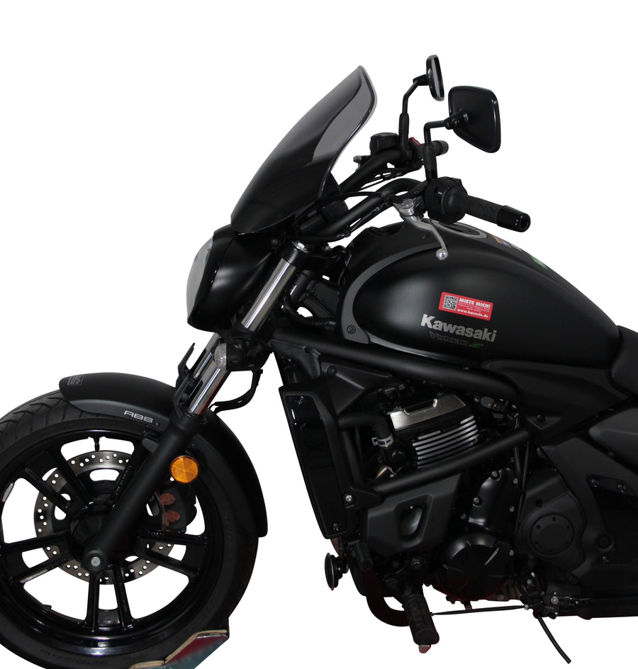 Kawasaki Vulcan S [2015-]-touring disc "NTM"