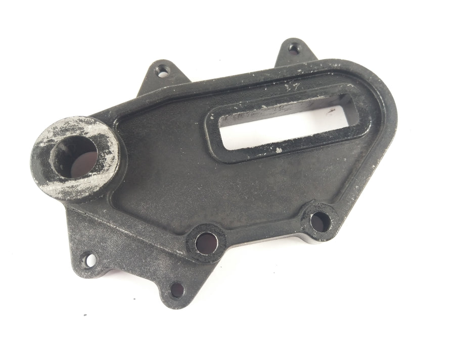 Aprilia Pegaso 650 ML [2000] - Brake anchor plate