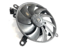 Kawasaki VN 900 Classic [2010] - Radiator fan-2