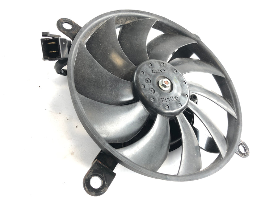 Kawasaki VN 900 Classic [2010] - Radiator fan