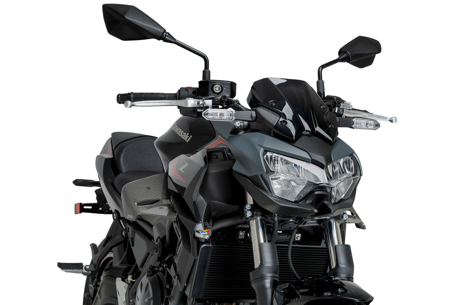 KAWASAKI Z 650 [2025] – D12 Spoiler – Carbon look