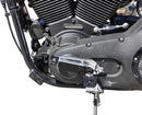 harley davidson sportster s rh 1250 s [THRASHIN SUPPLY CO.] - P-54 shift peg-4