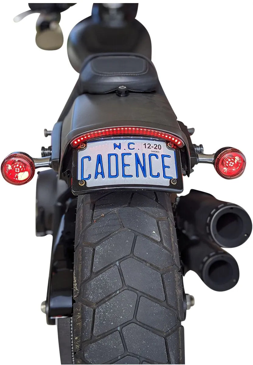 harley-davidson street bob [CUSTOM DYNAMICS] – Integrated taillight with indicators