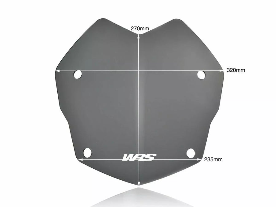 BMW R 1200 R [WRS] - windshield
