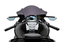 BMW S 1000 RR [2025] – Z-Racing Screen – Transparent-5