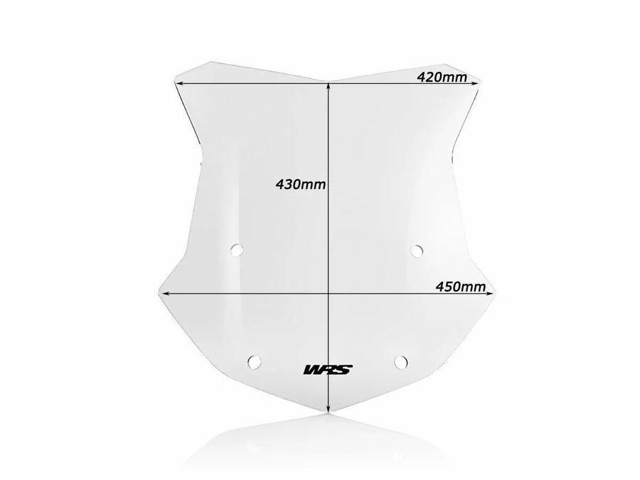 BMW R 1200 GS [WRS] - windshield