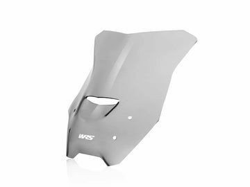 BMW R 1200 R [WRS] - windshield