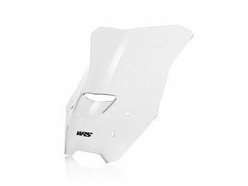 BMW R 1200 R [WRS] - windshield