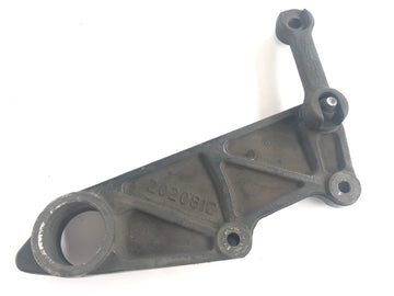 Triumph Tiger 955i 709EN [2001] - Rear brake anchor plate - 0