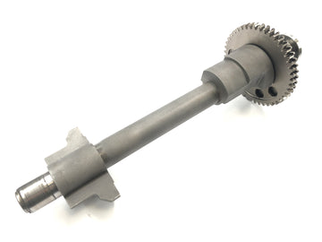 Triumph Speed ​​Triple T509 [1998] - Balance shaft