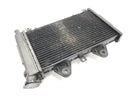 Triumph Daytona 900 T300 [1996] - Radiator water cooler-2