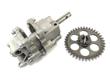 Aprilia RSV4 1000 [2010] - Oil pump