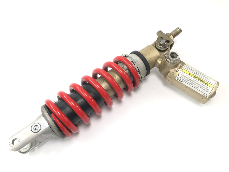 Kawasaki ZX 12 R ZXT20A [2001] - Shock absorber strut