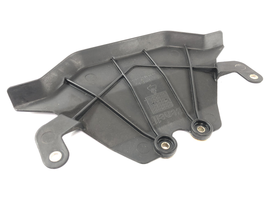 Benelli TNT 1130 [2009] - Lower fork bridge cover
